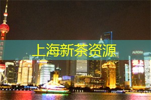 少儿编程的新天地！上海同城最先进的创客教育机构等你加入！